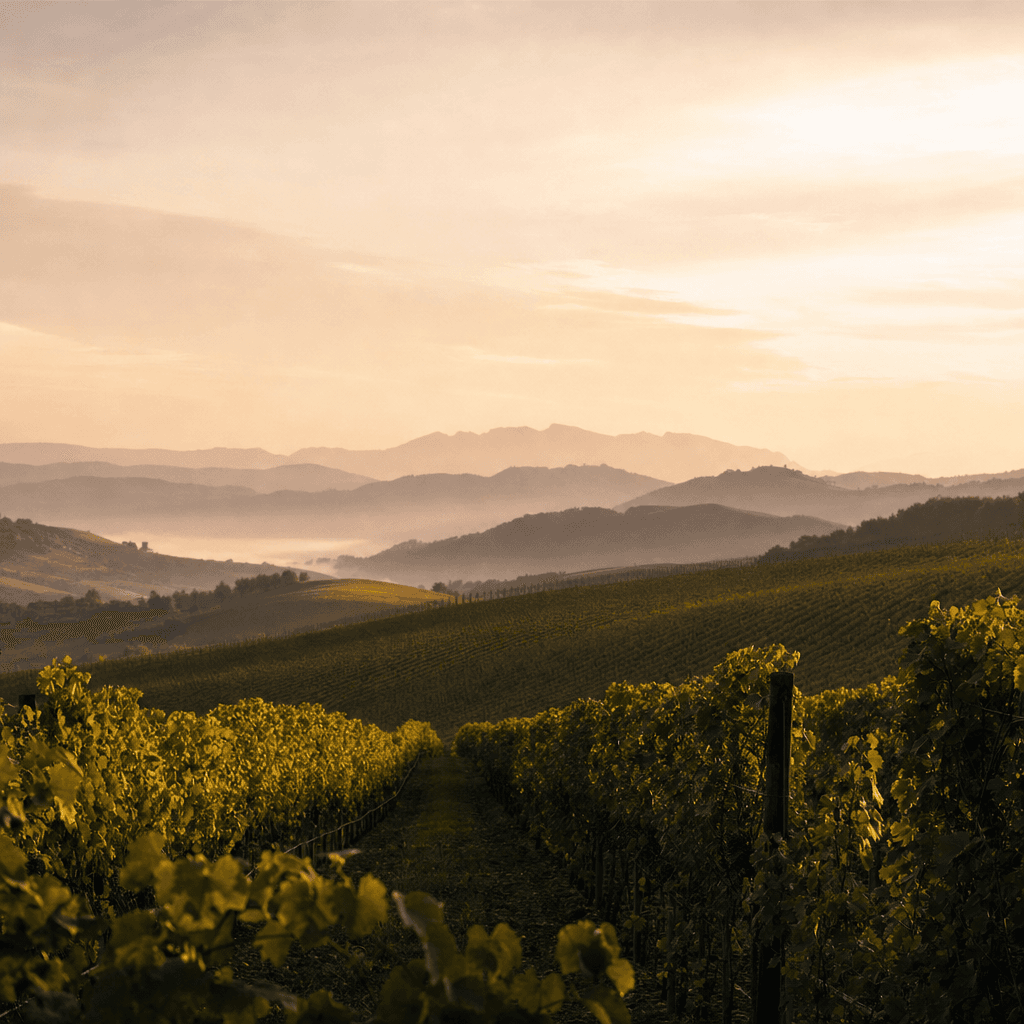 Wine Worlds: Vines, Cellars and the Stories Behind Our Wines
