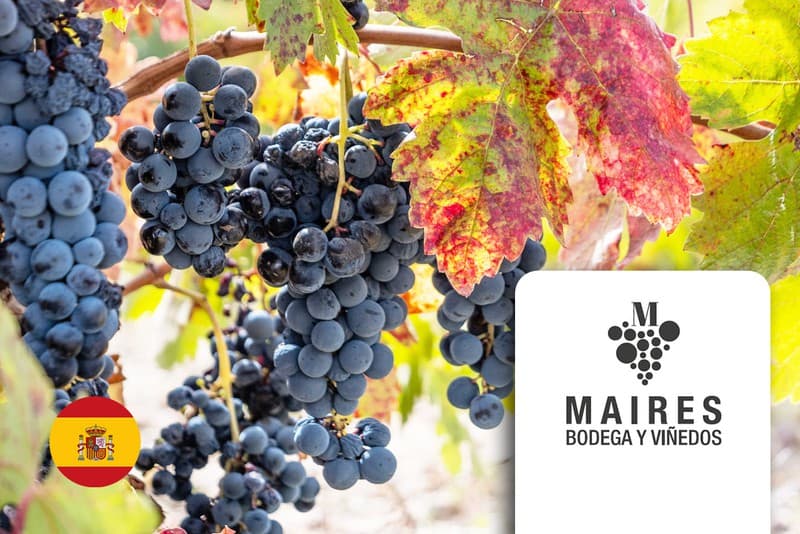 Bodega Maires — alte Reben in der D.O. Toro, Spanien