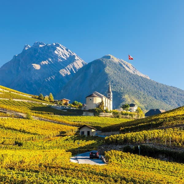 Vineyards in Switzerland