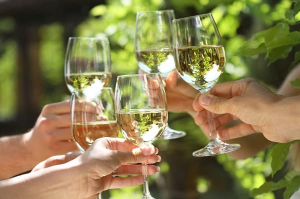 Apéro und Weindegustation im Wyhus Aemme