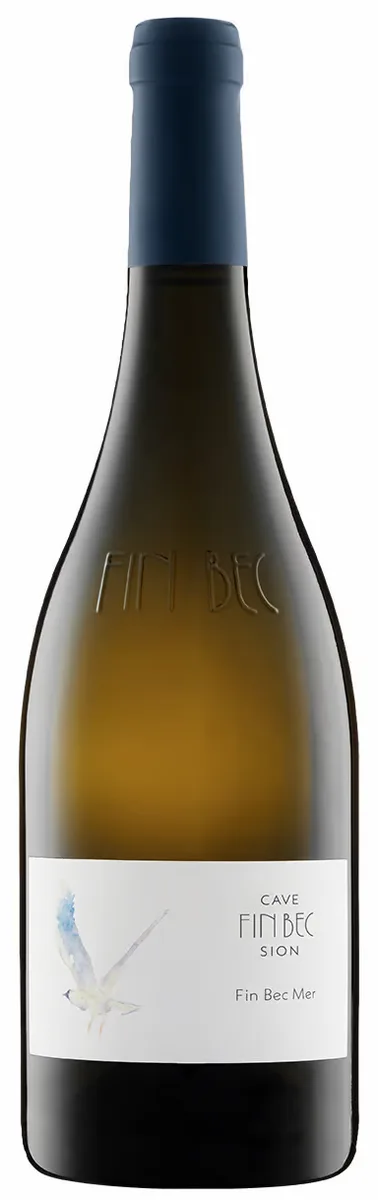 Fin Bec Mer Sél. no 19