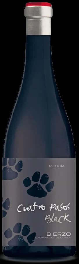 Flasche Cuatro Pasos Black Bierzo DO