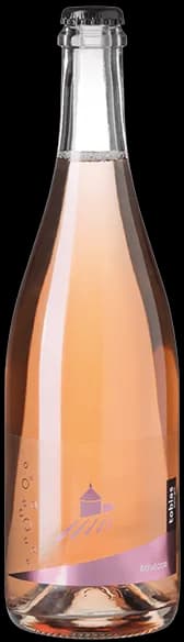 tobias Rosécco AOC St. Gallen