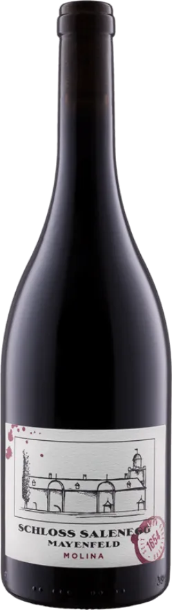 Pinot Noir Molina - Salenegg