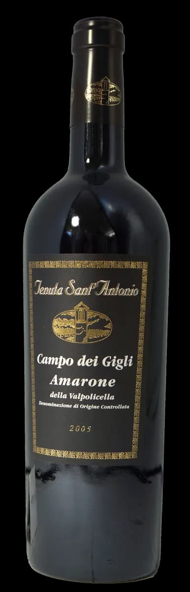 Amarone DOC della Valpolicella Campo dei Gigli