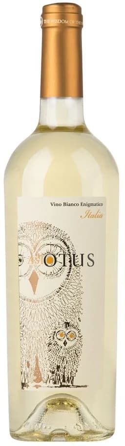 Asio Otus Bianco Amabile