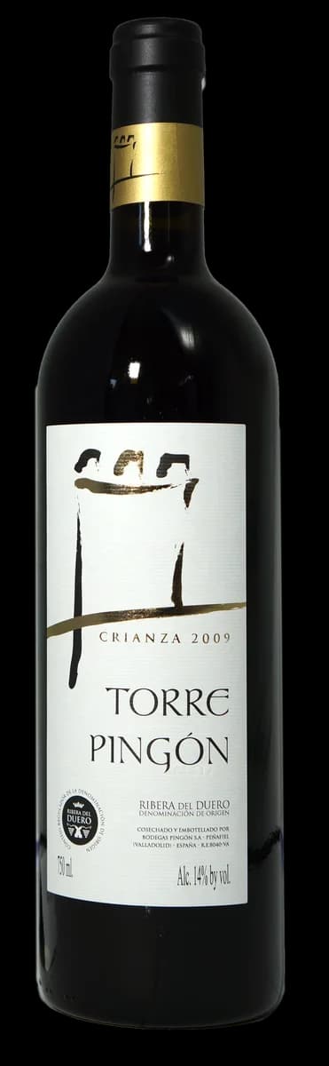 Flasche Torrepingón Crianza Ribera del Duero