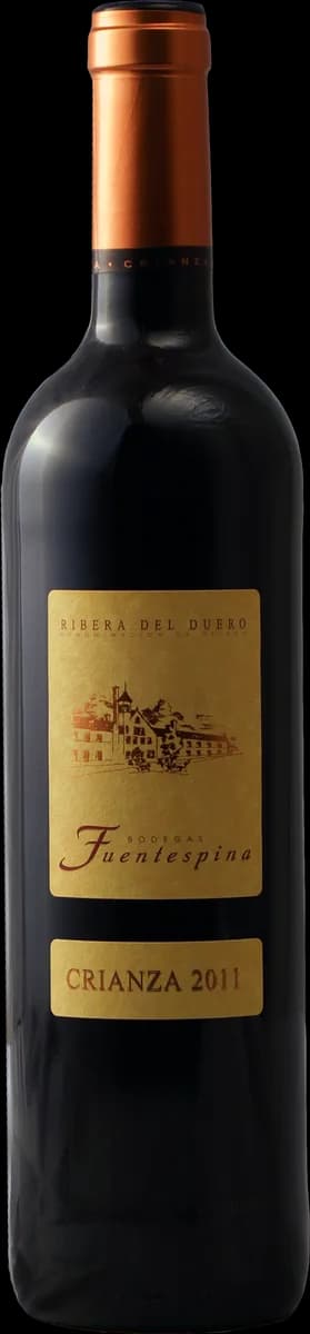 Flasche Fuentespinas Crianza Ribera del Duero