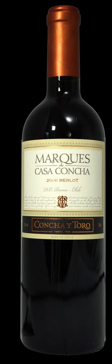 Flasche Merlot Marqués Rapel Valley