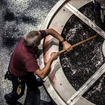 Barriquekeller der Bodegas Jalón