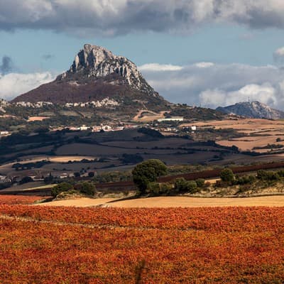 Bodegas Jalón in Rioja