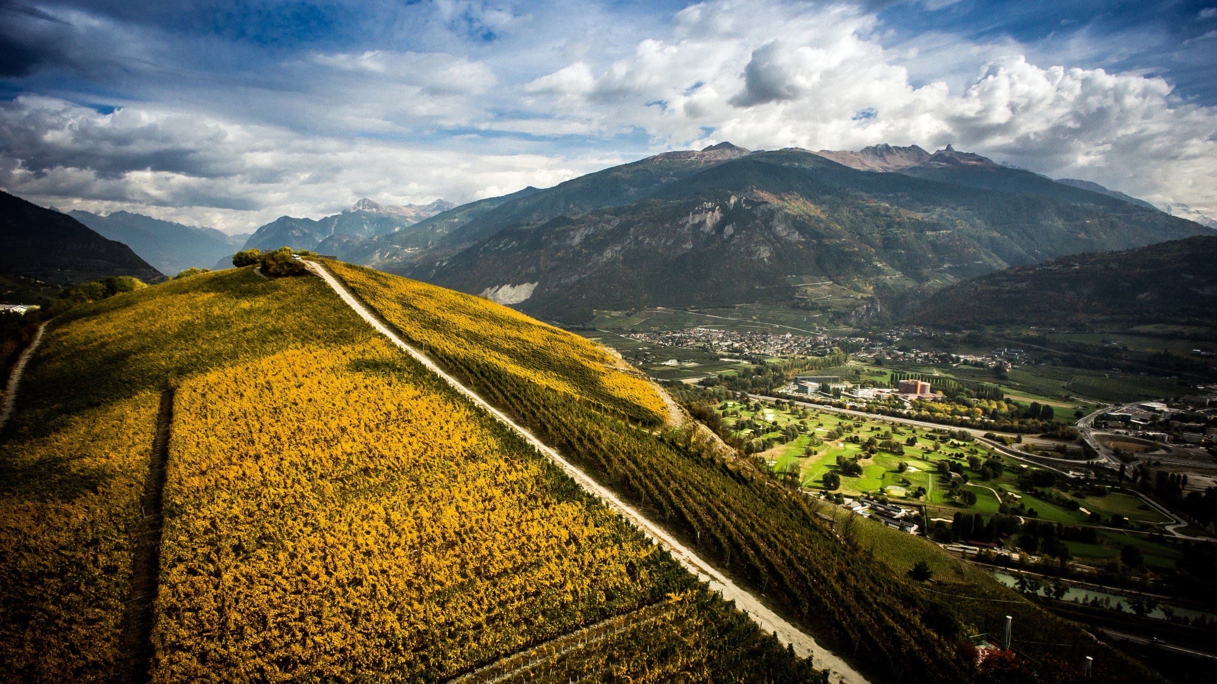 Vignobles dorés d'automne surplombant la vallée du Rhône