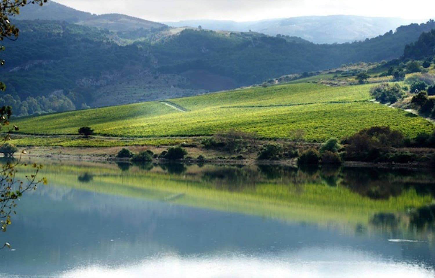 Lago Arancio near Sambuca di Sicilia, surrounded by vineyards
