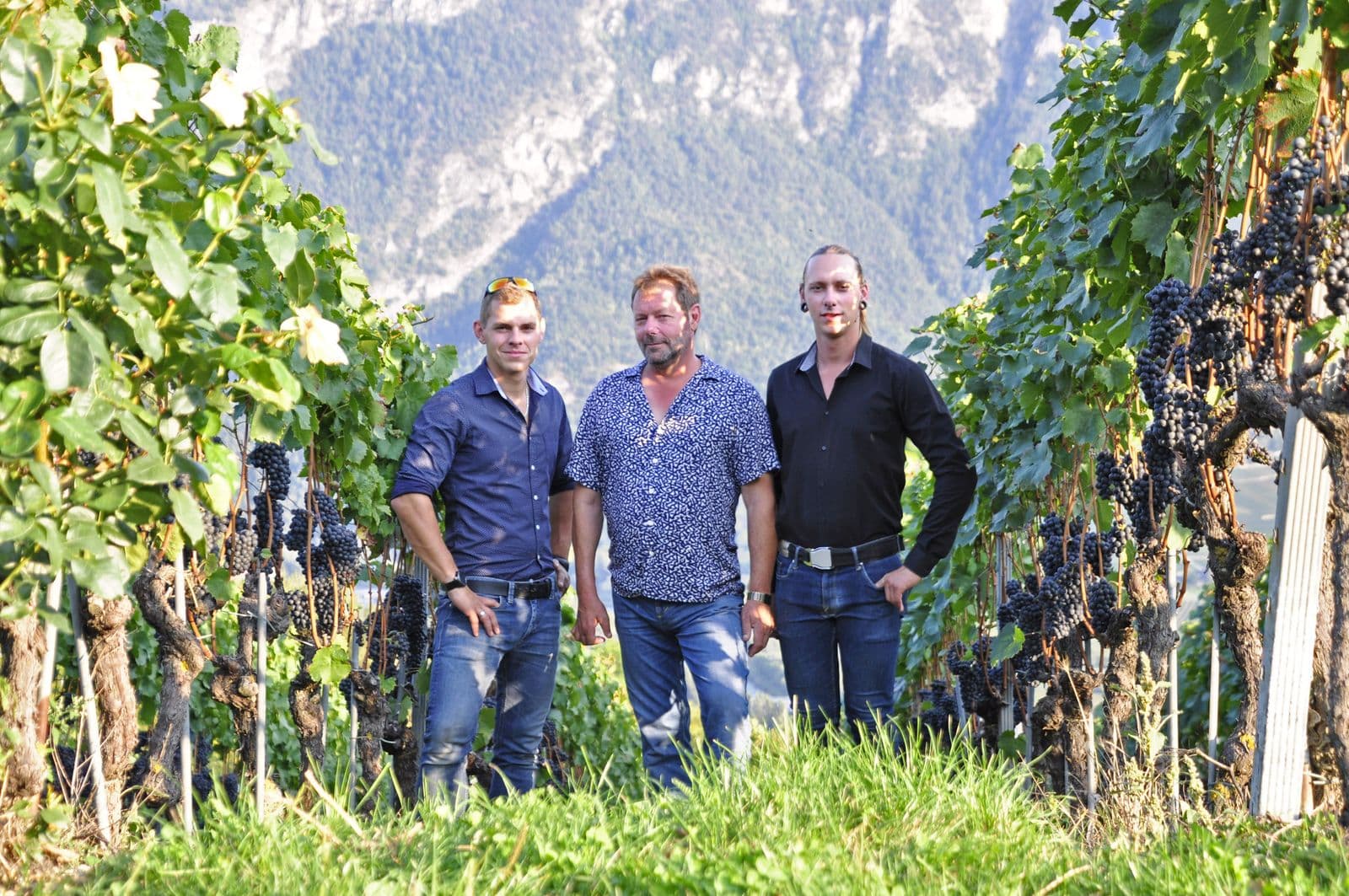 Im Rebberg der Cave Emery oberhalb von Ayent