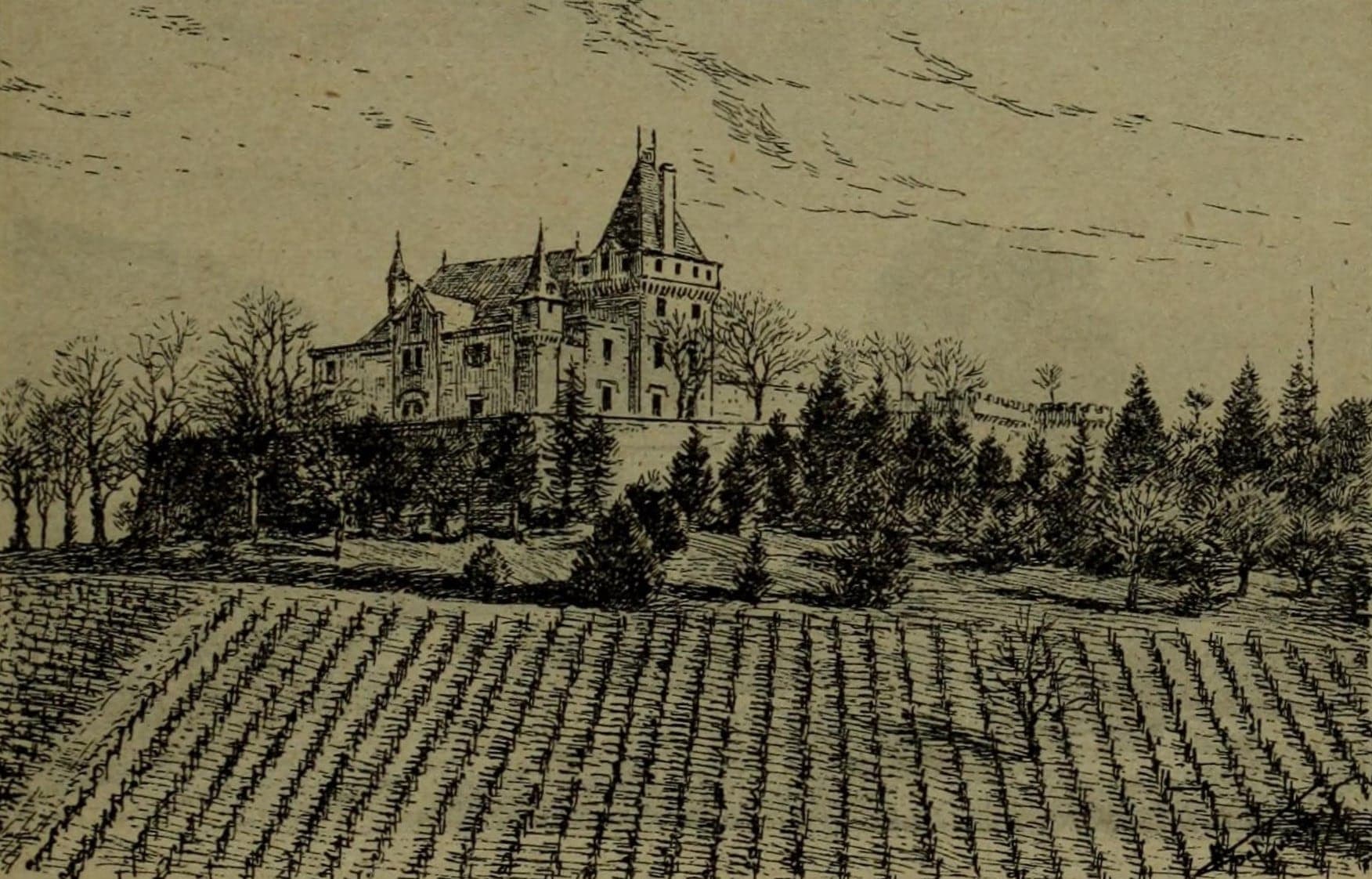 Château de Pressac above its vines, engraving from «Bordeaux et ses vins» by Cocks & Féret, 1922