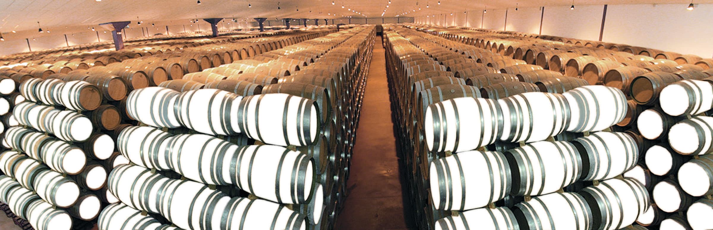 The barrique cellar of El Coto de Rioja