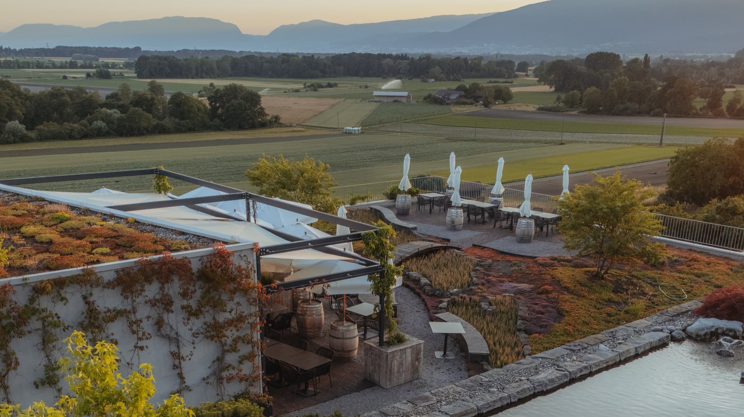 Evening mood over the Hämmerli estate (photo: Zytblick, Nils Jakob)