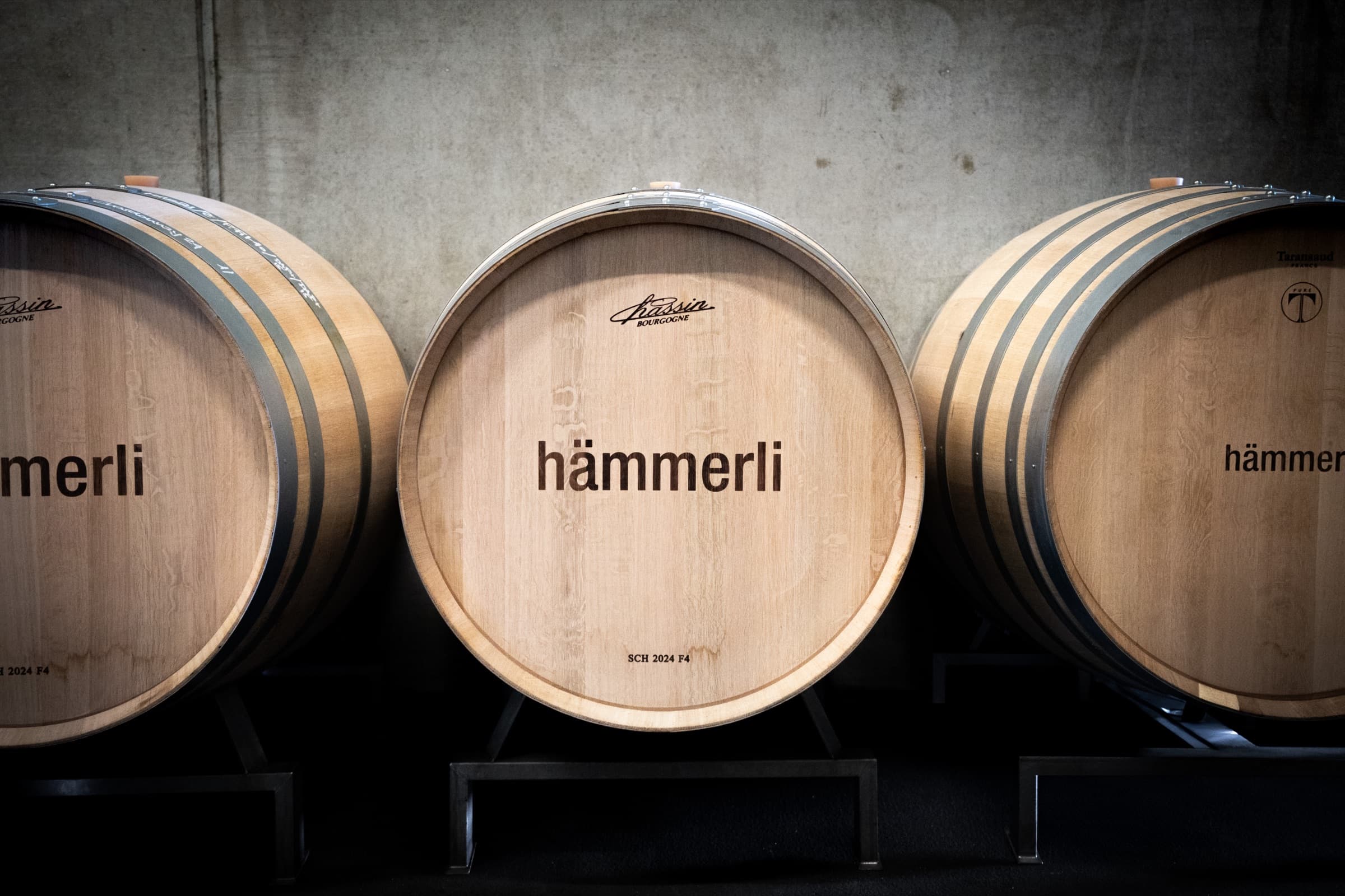 Barriques in the cellar of the Weingut Hämmerli (Photo: Zytblick, Nils Jakob)