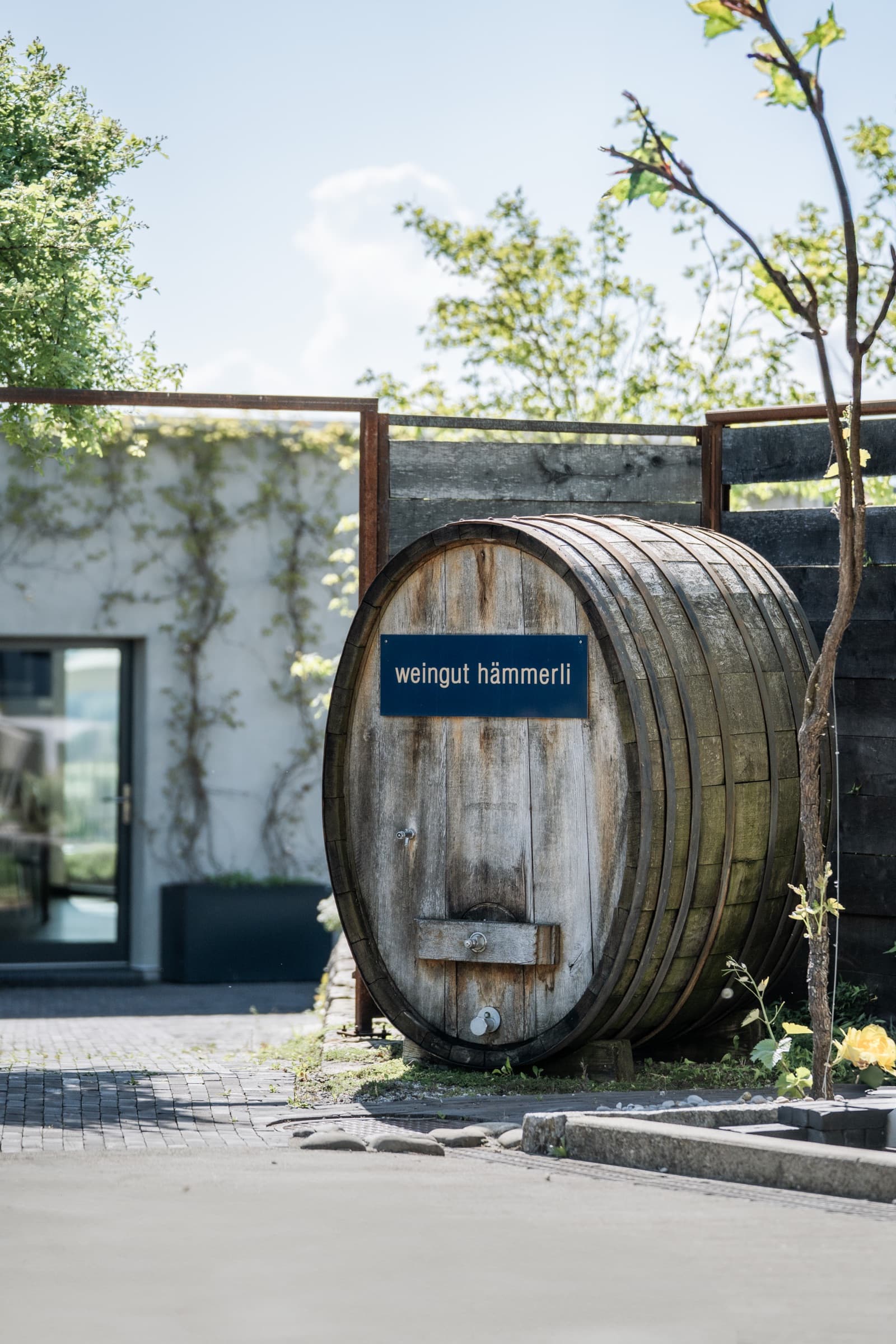 Das Fass am Eingang des Weinguts Hämmerli in Ins (Foto: Zytblick, Nils Jakob)