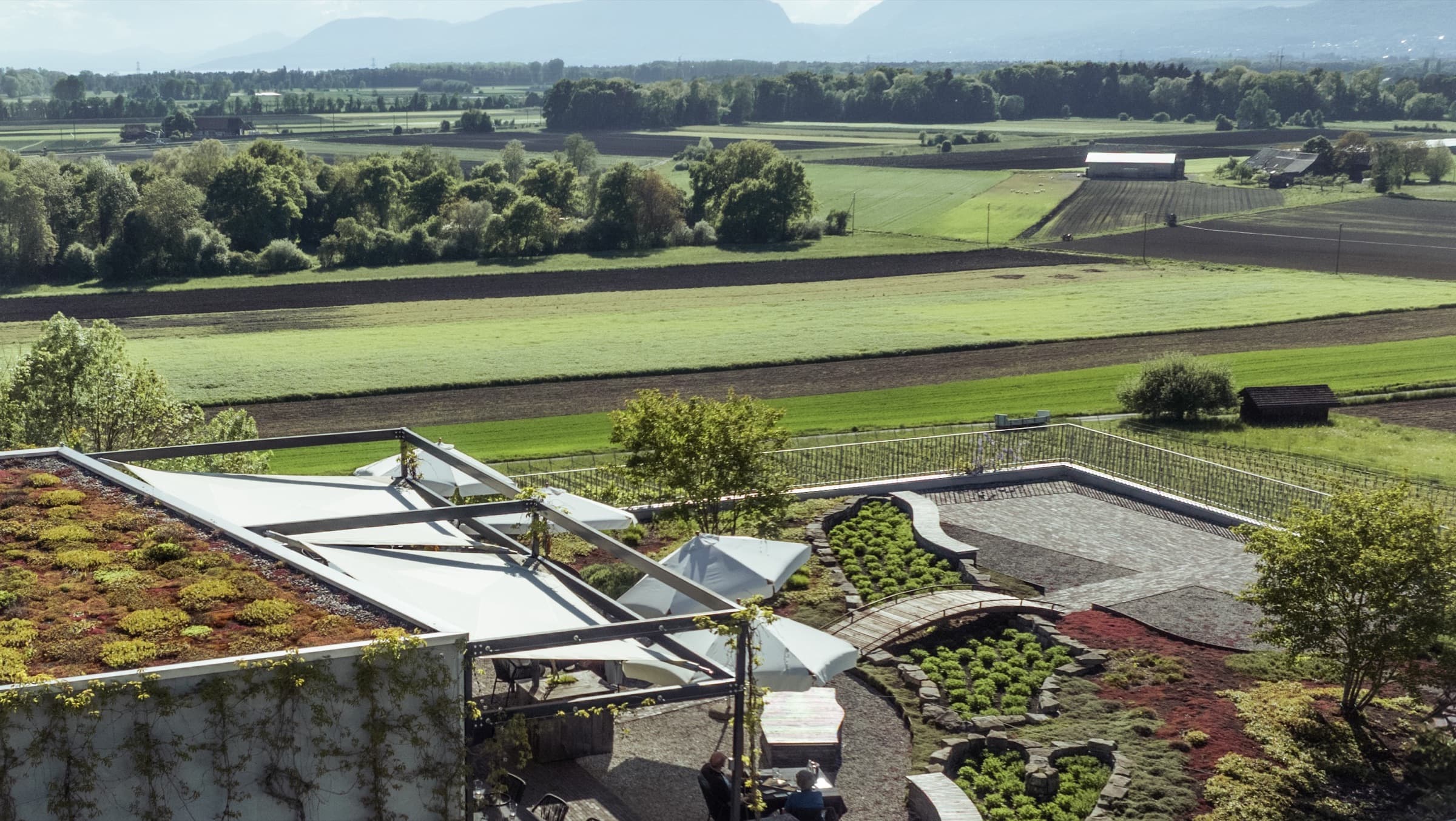 Das Weingut Hämmerli in Ins mit Blick übers Seeland (Foto: Zytblick, Nils Jakob)