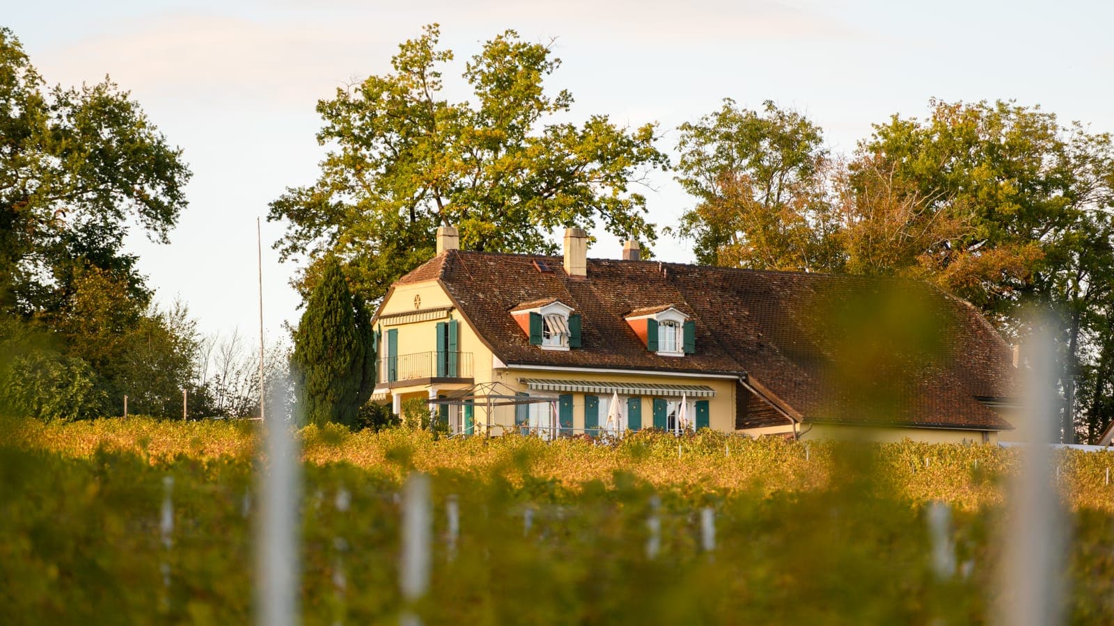 Das Gutshaus der Domaine de Marcy hinter den herbstlichen Reben (Foto: Raphaël Dupertuis)