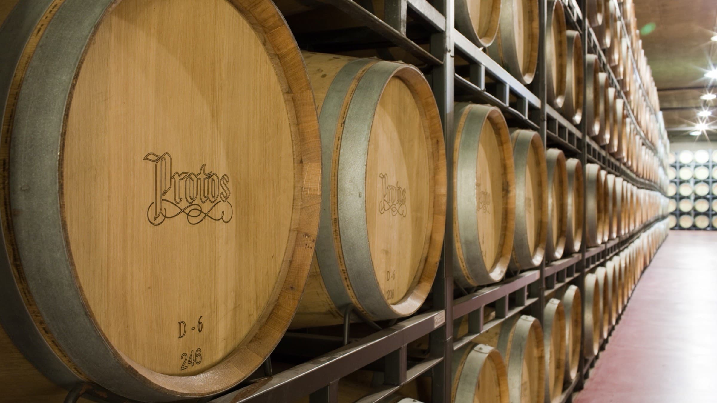 Barriques bearing the Protos brand mark in the barrel cellar