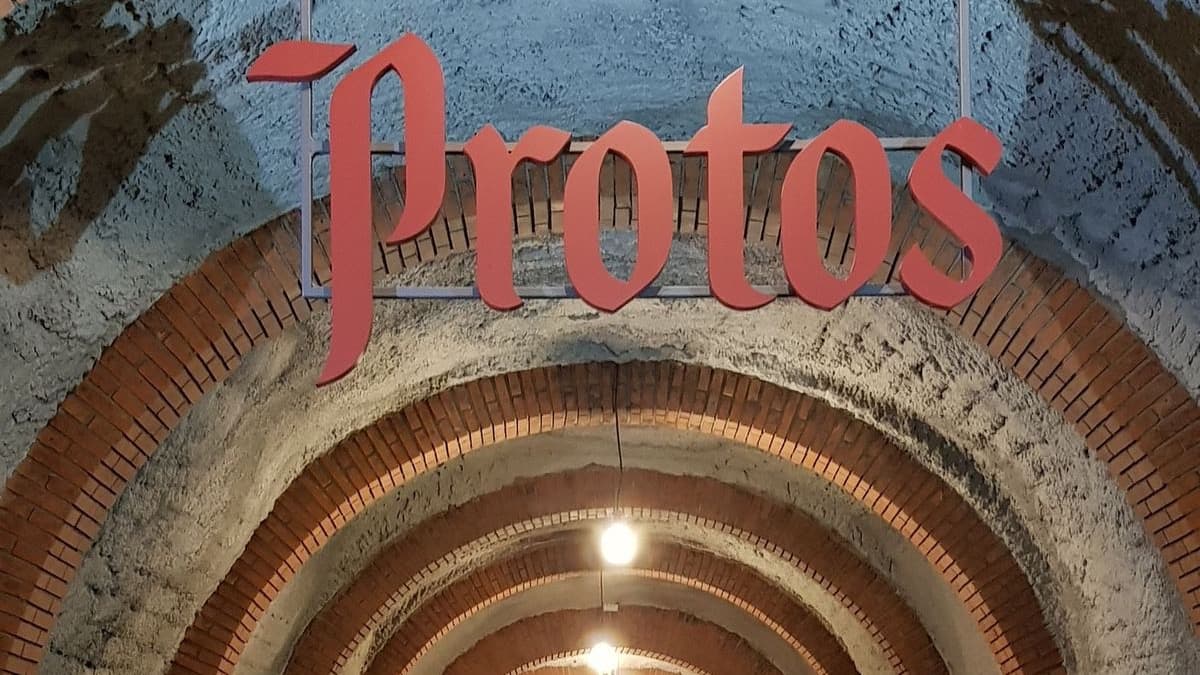The cellars of Bodegas Protos beneath the castle hill
