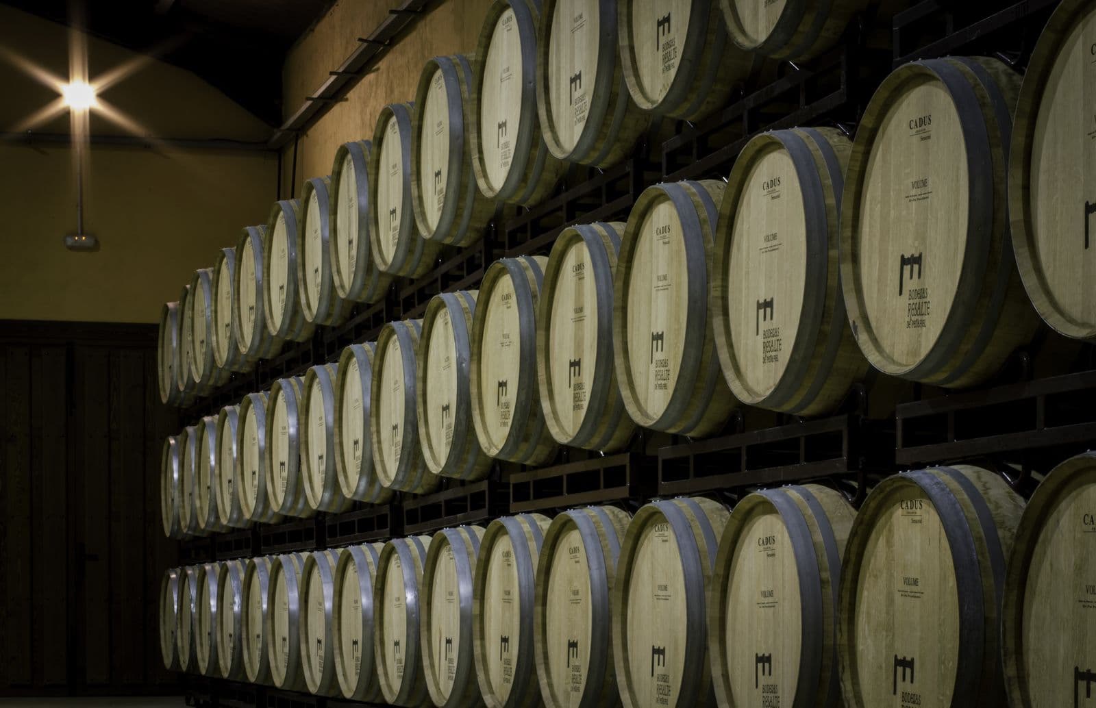 Der Barriquekeller von Bodegas Resalte