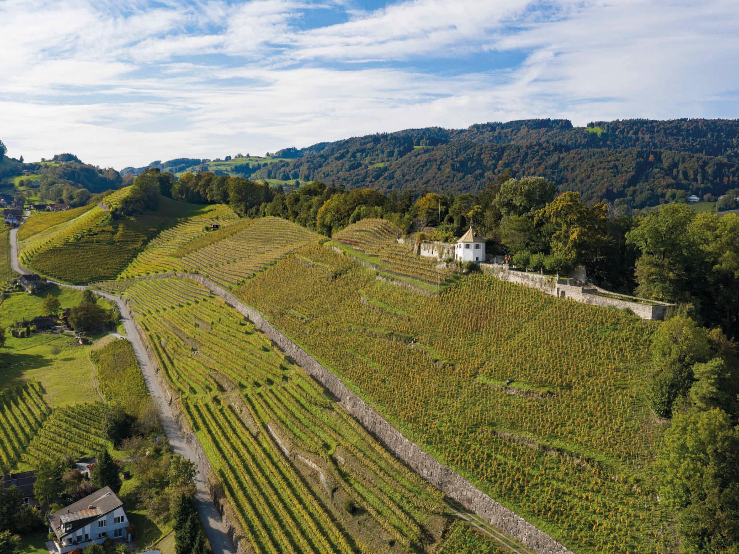 Der Rosenberg in Berneck mit dem Schlössli, dem Wahrzeichen des tobias wein.gut. (Foto: tobias wein.gut.)