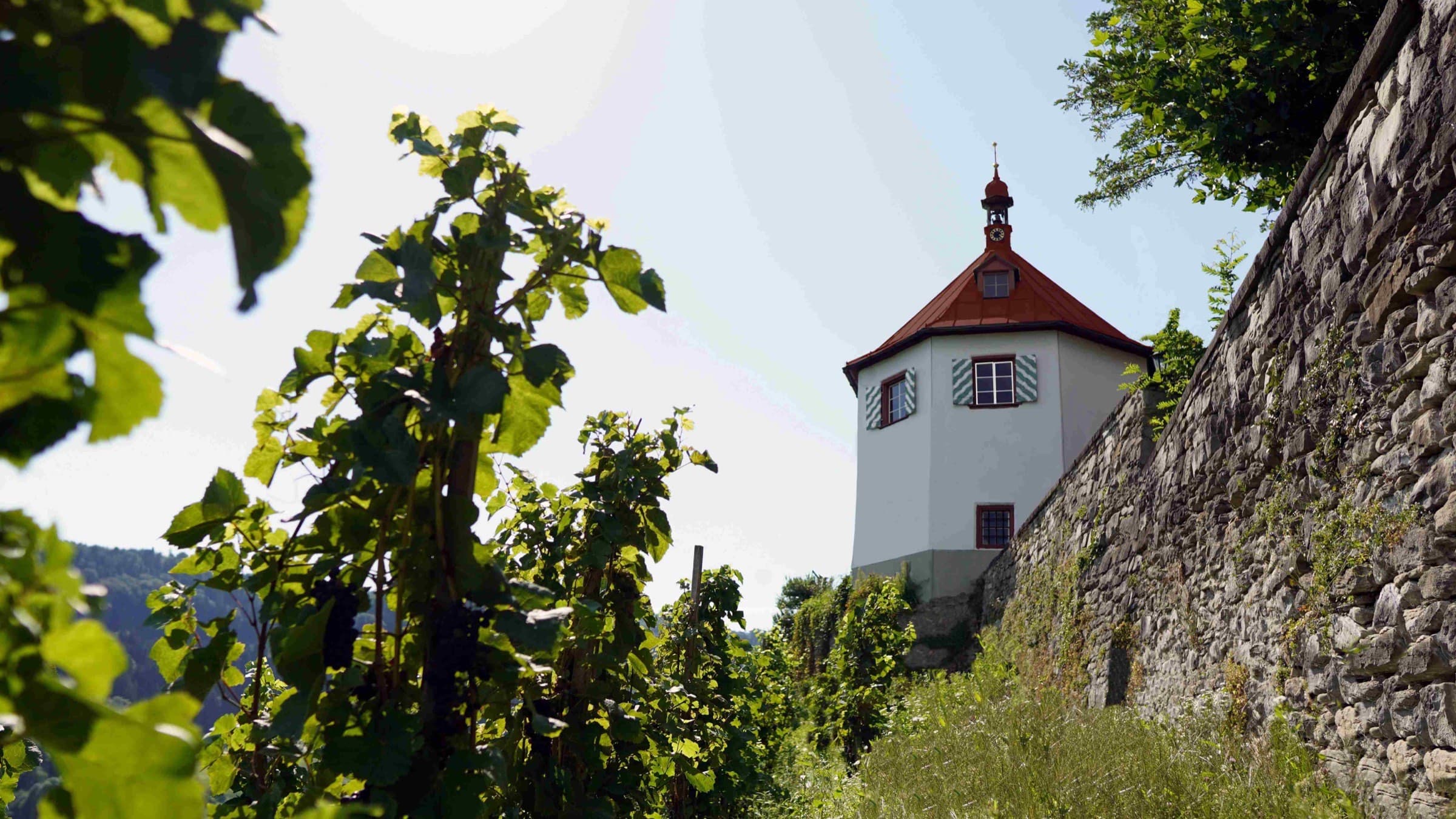 The Schlössli above the vine rows of Berneck (Photo: tobias wein.gut.)