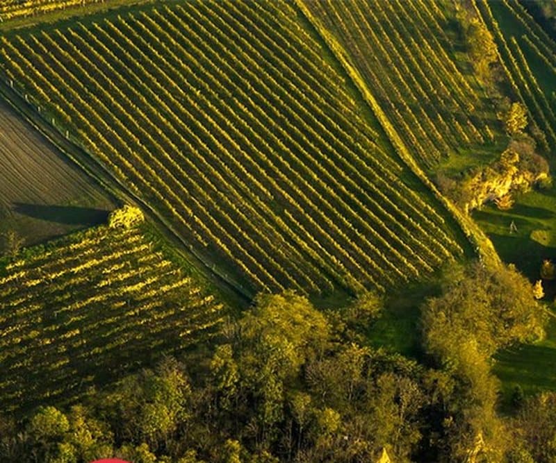 Weinberghof Fritsch am Wagram