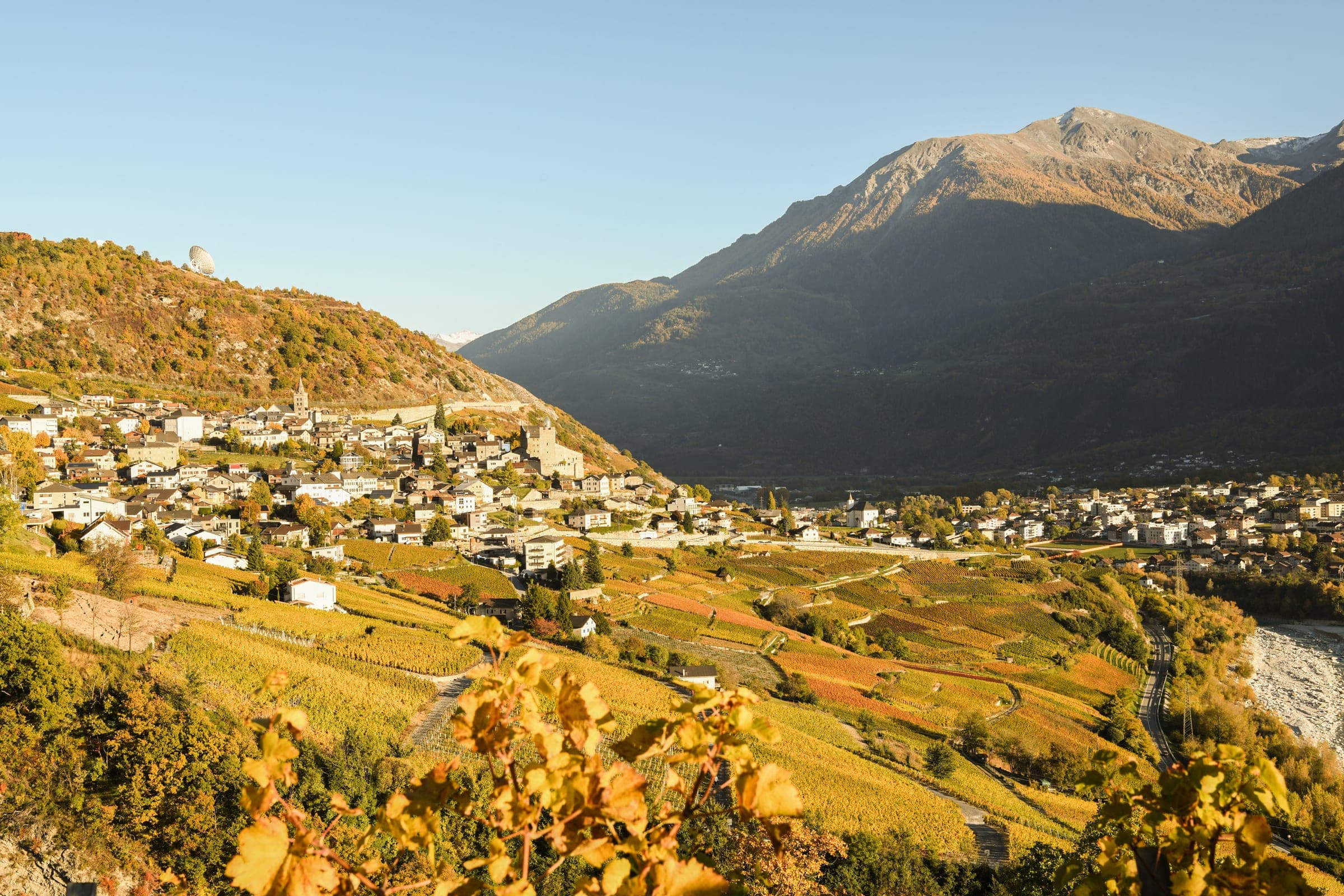 Rebbergterrassen über Leuk im Wallis, im Herbstlicht über dem Rhonetal