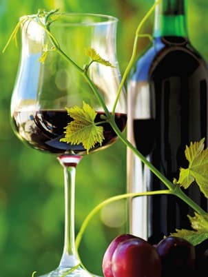 Light red wine for the apéro