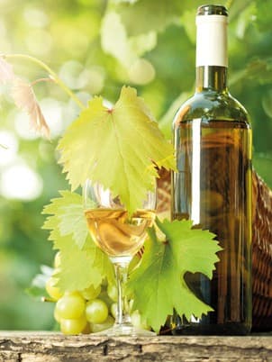 White wine for the aperitif